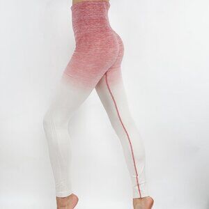 NWT Seamless High Waist Yoga Dry-Fit Ombre compression Leggings Tummy support